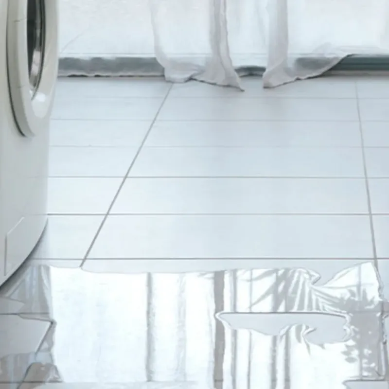 Appliance Leak Cleanup in Clinton, WI