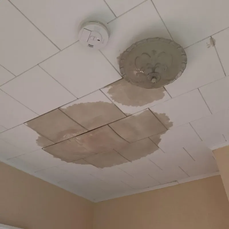 Ceiling Water Damage Repair in Clinton, WI