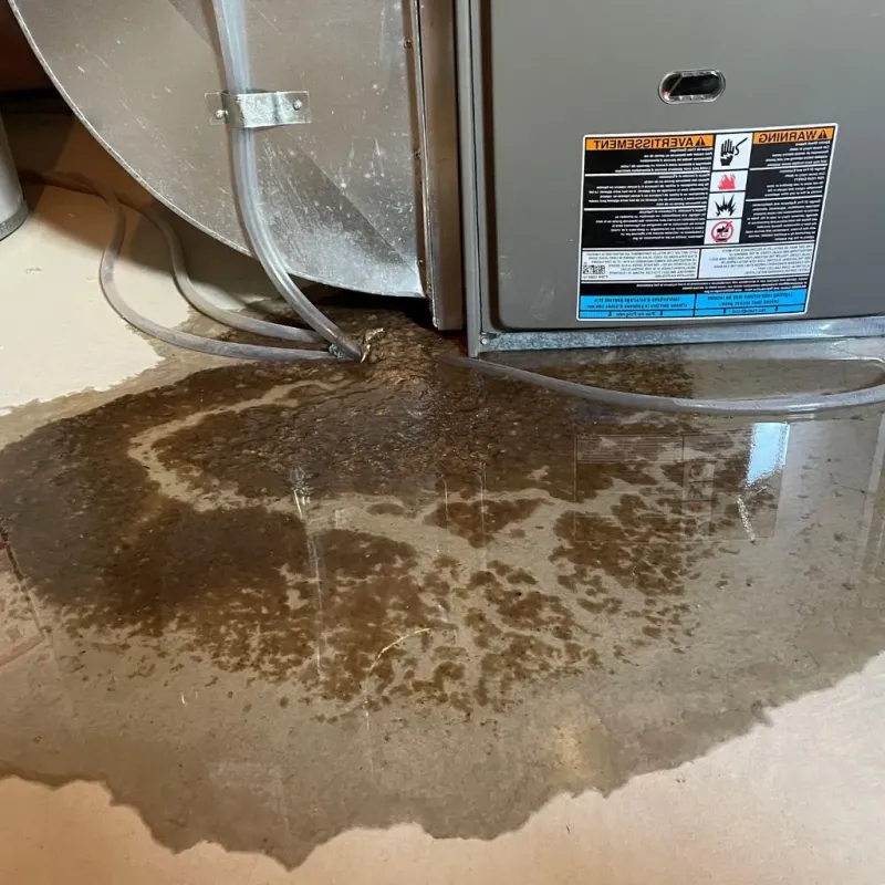 Pipe Burst and Leak Restoration in Clinton, WI