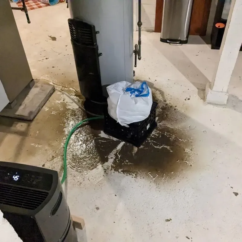 Sewage Backup Cleanup Service in Clinton, WI